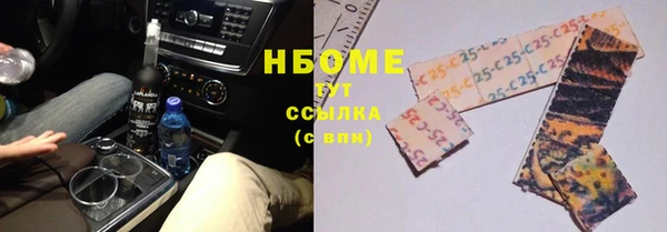 прущие грибы Корсаков