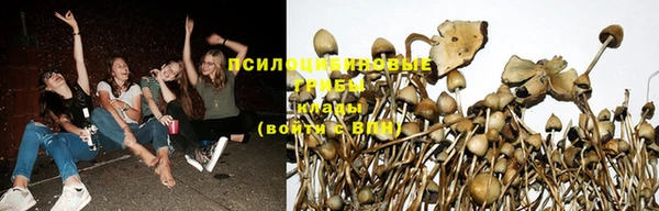 дурь Балабаново